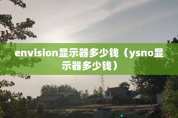 envision显示器多少钱（ysno显示器多少钱）