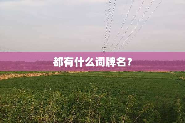 都有什么词牌名？