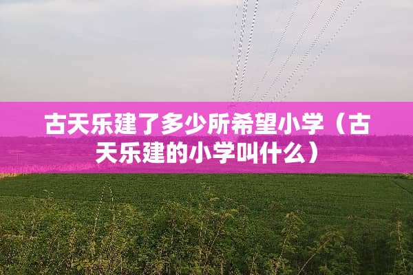 古天乐建了多少所希望小学（古天乐建的小学叫什么）