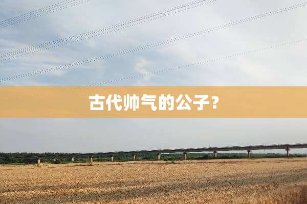 古代帅气的公子？
