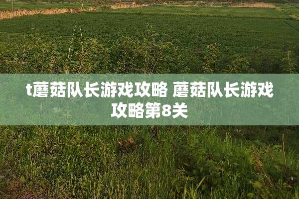t蘑菇队长游戏攻略 蘑菇队长游戏攻略第8关