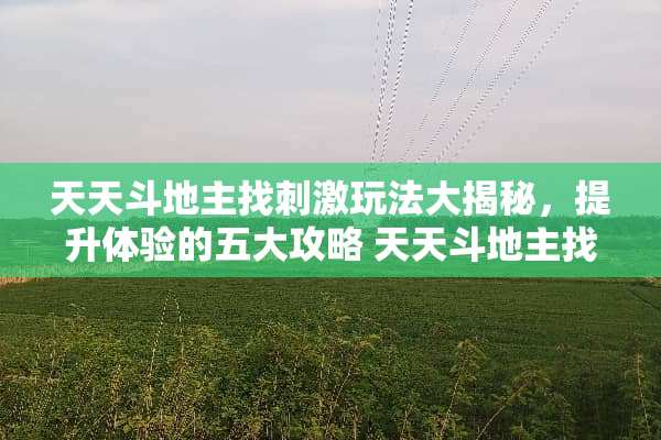 天天***找**玩法大揭秘，提升体验的五大攻略 天天***找**玩法