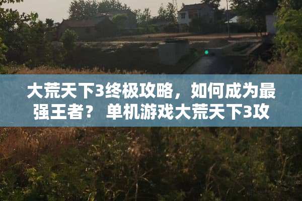 大荒天下3终极攻略，如何成为最强王者？ 单机游戏大荒天下3攻略