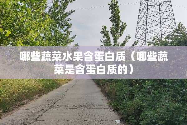 哪些蔬菜水果含蛋白质(哪些蔬菜是含蛋白质的) 哪些蔬菜水果含蛋白质(哪些蔬菜是含蛋白质的)