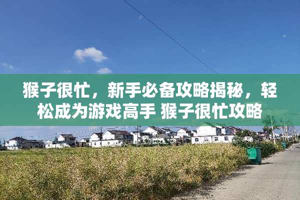 猴子很忙，新手必备攻略揭秘，轻松成为游戏高手 猴子很忙攻略