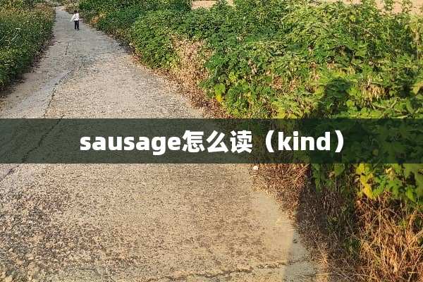 sausage怎么读（kind）