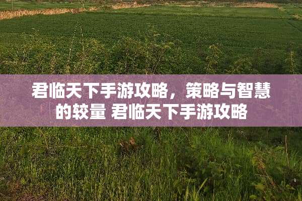 君临天下手游攻略，策略与智慧的较量 君临天下手游攻略