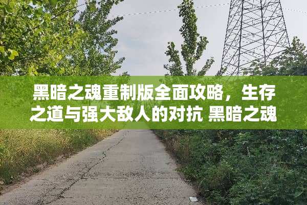 黑暗之魂重制版全面攻略，生存之道与强大敌人的对抗 黑暗之魂重制版攻略