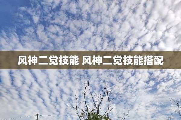 风神二觉技能 风神二觉技能搭配