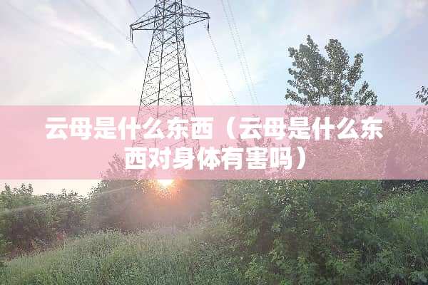 云母是什么东西（云母是什么东西对身体有害吗）