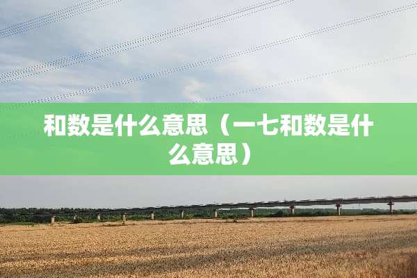 和数是什么意思（一七和数是什么意思）