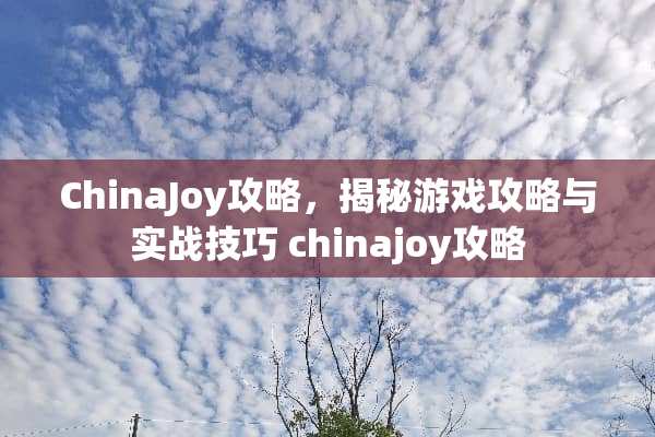 ChinaJoy攻略，揭秘游戏攻略与实战技巧 chinajoy攻略