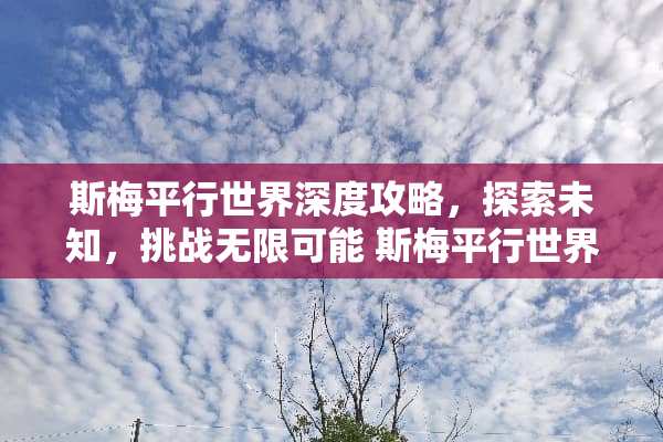 斯梅平行世界深度攻略，探索未知，挑战无限可能 斯梅平行世界游戏攻略