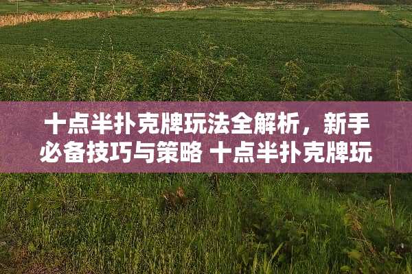 十点半**牌玩法全解析，新手必备技巧与策略 十点半**牌玩法