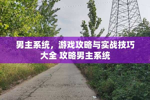男主系统，游戏攻略与实战技巧大全 攻略男主系统