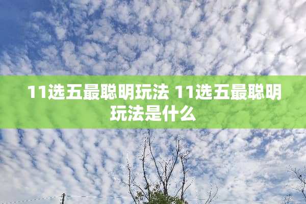 11选五最聪明玩法 11选五最聪明玩法是什么 11选五最聪明玩法 11选五最聪明玩法是什么