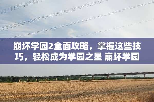 崩坏学园2全面攻略,掌握这些技巧,轻松成为学园之星 崩坏学园2攻略 崩坏学园2全面攻略,掌握这些技巧,轻松成为学园之星 崩坏学园2攻略