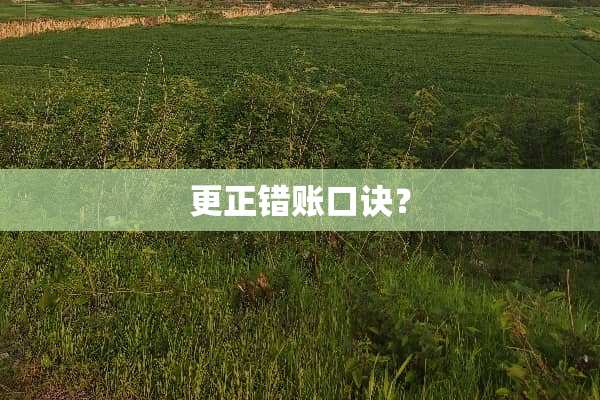 更正错账口诀？