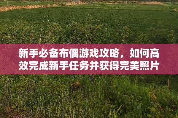 新手必备布偶游戏攻略，如何高效完成新手任务并获得完美照片？ 布偶游戏攻略照片