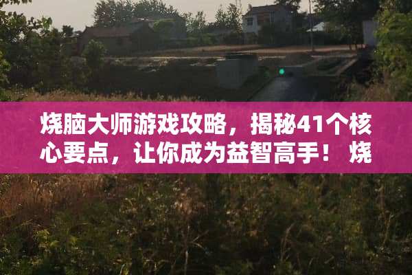 烧脑大师游戏攻略，揭秘41个核心要点，让你成为益智高手！ 烧脑大师游戏攻略41