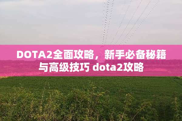 DOTA2全面攻略，新手必备秘籍与高级技巧 dota2攻略