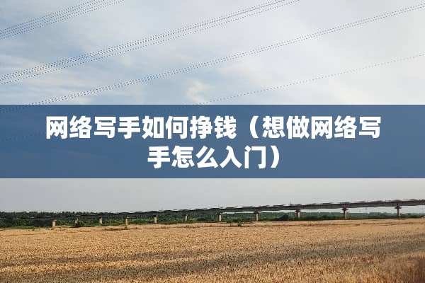 网络写手如何挣钱（想做网络写手怎么入门）