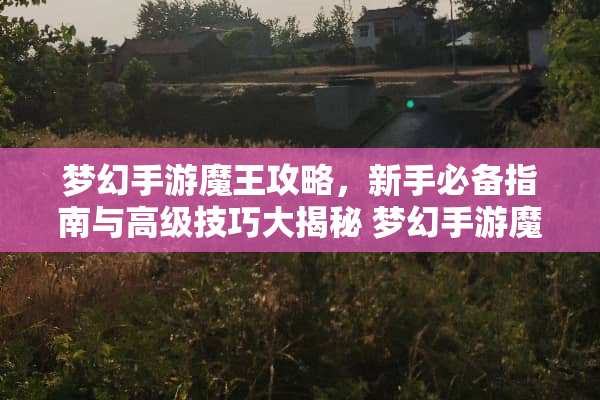 梦幻手游魔王攻略,新手必备指南与高级技巧大揭秘 梦幻手游魔王攻略 梦幻手游魔王攻略,新手必备指南与高级技巧大揭秘 梦幻手游魔王攻略