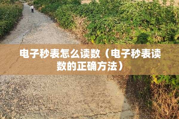 电子秒表怎么读数（电子秒表读数的正确方法）