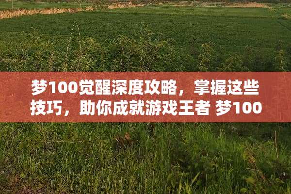 梦100觉醒深度攻略,掌握这些技巧,助你成就游戏王者 梦100觉醒攻略 梦100觉醒深度攻略,掌握这些技巧,助你成就游戏王者 梦100觉醒攻略