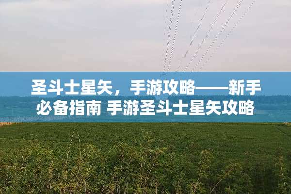 圣斗士星矢，手游攻略——新手必备指南 手游圣斗士星矢攻略