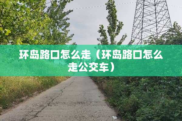 环岛路口怎么走（环岛路口怎么走公交车）