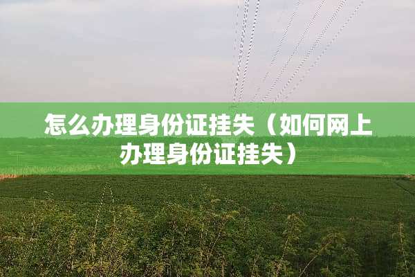 怎么办理***挂失（如何网上办理***挂失）