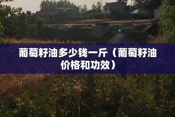 葡萄籽油多少钱一斤（葡萄籽油价格和功效）