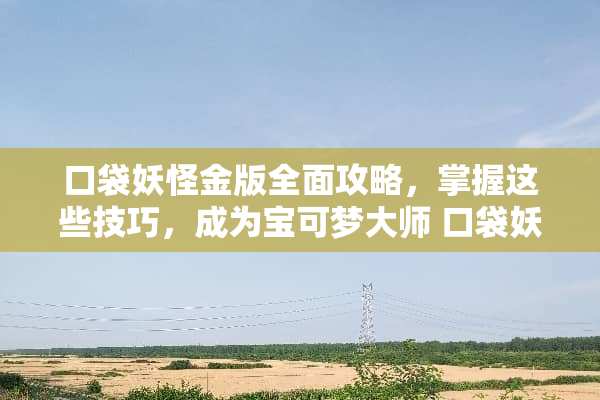 口袋妖怪金版全面攻略，掌握这些技巧，成为宝可梦大师 口袋妖怪金版攻略