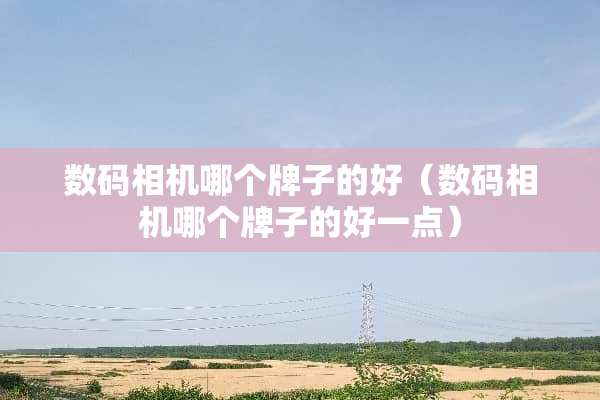 数码相机哪个牌子的好（数码相机哪个牌子的好一点）