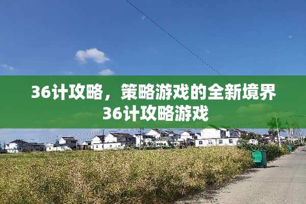 36计攻略，策略游戏的全新境界 36计攻略游戏