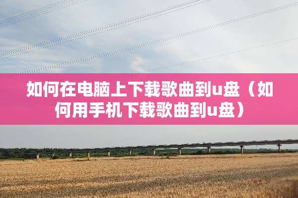 如何在电脑上下载歌曲到u盘（如何用手机下载歌曲到u盘）