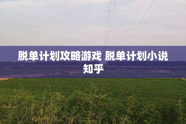 脱单计划攻略游戏 脱单计划小说知乎