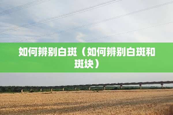 如何辨别白斑（如何辨别白斑和斑块）