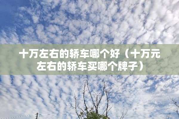 十万左右的轿车哪个好（十万元左右的轿车买哪个牌子）