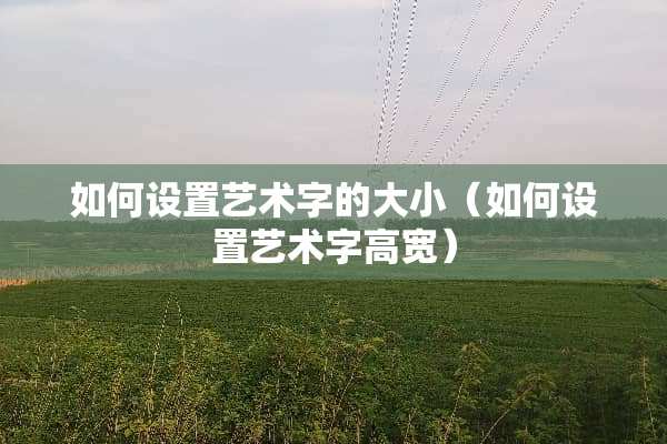 如何设置艺术字的大小（如何设置艺术字高宽）