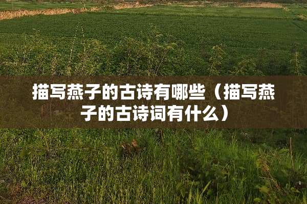 描写燕子的古诗有哪些（描写燕子的古诗词有什么）