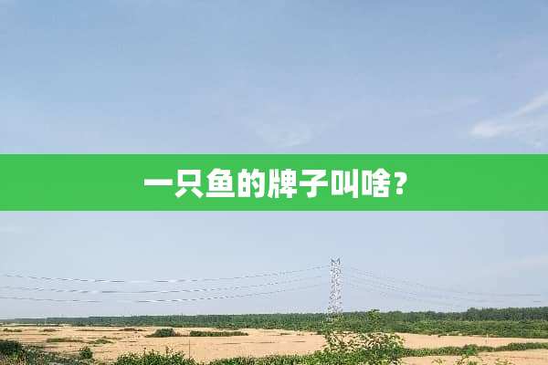 一只鱼的牌子叫啥？