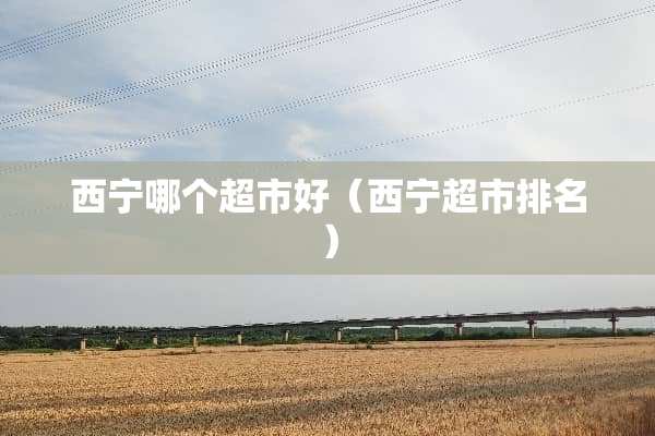 西宁哪个超市好（西宁超市排名）