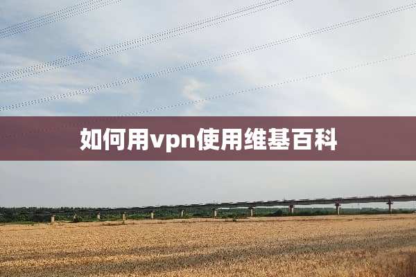 如何用vpn使用维基百科