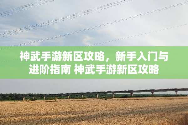 神武手游新区攻略，新手入门与进阶指南 神武手游新区攻略