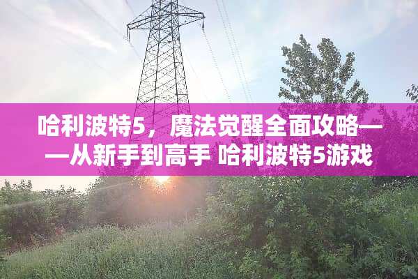 哈利波特5，魔法觉醒全面攻略——从新手到高手 哈利波特5游戏攻略