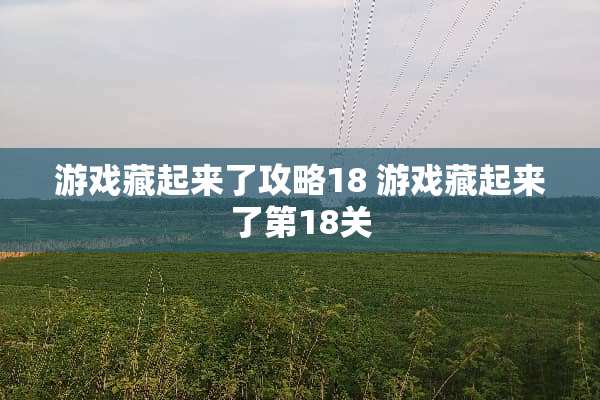 游戏藏起来了攻略18 游戏藏起来了第18关