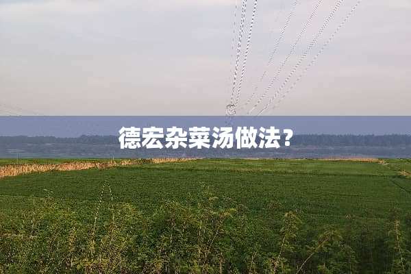 德宏杂菜汤做法？