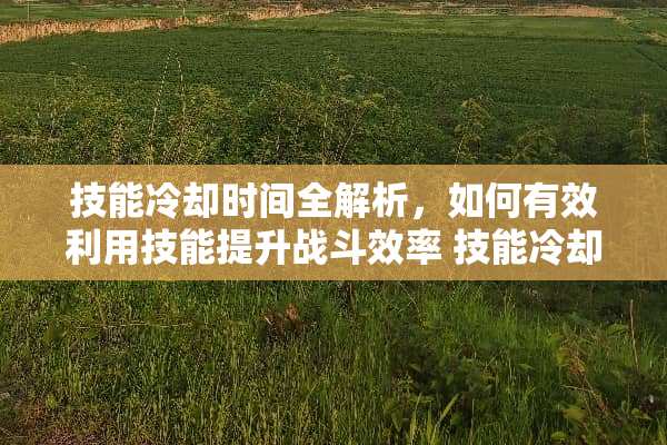 技能冷却时间全解析，如何有效利用技能提升战斗效率 技能冷却是什么意思